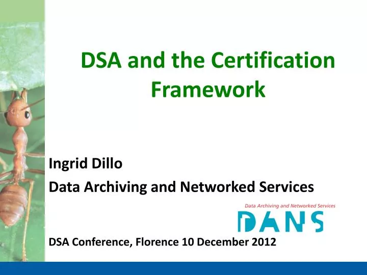 dsa and the certification framework
