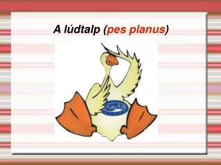 a l dtalp pes planus