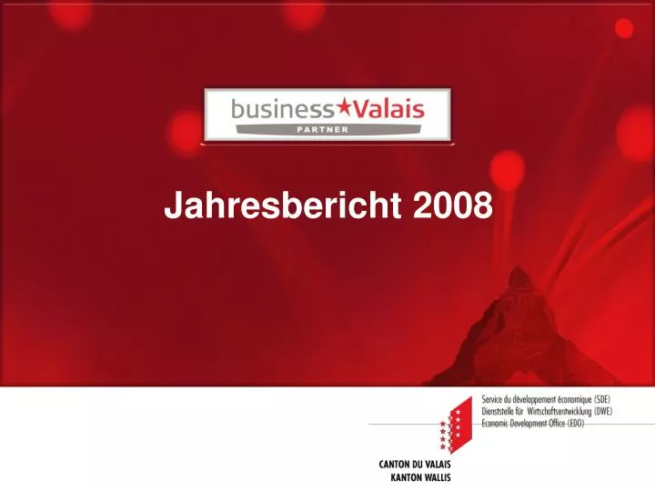 jahresbericht 2008