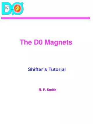 The D0 Magnets