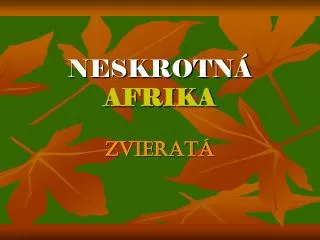 neskrotn afrika