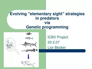 evolving elementary sight strategies in predators via genetic programming