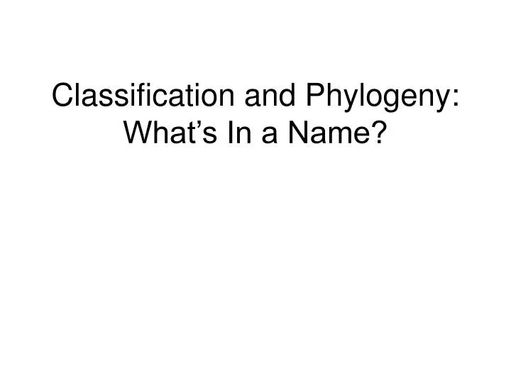classification and phylogeny what s in a name