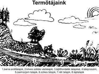 term t jaink