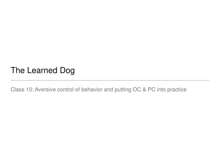 the learned dog