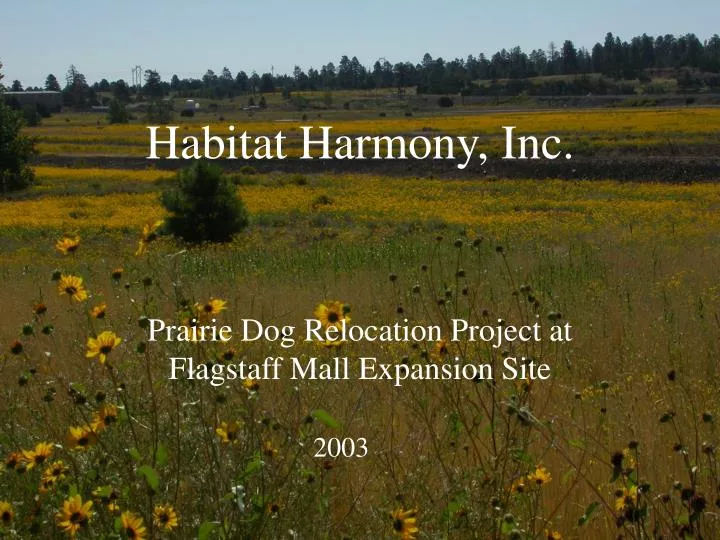 habitat harmony inc