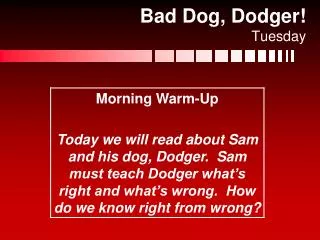 Bad Dog, Dodger! Tuesday