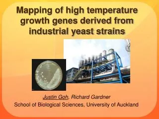 Mapping of high temperature growth genes derived from industrial yeast strains