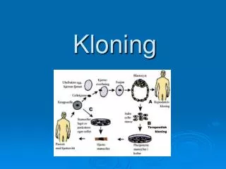 kloning