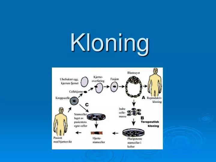 kloning
