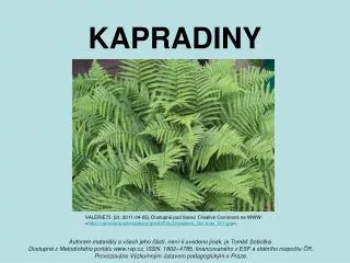kapradiny