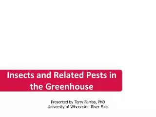 Insects and Related Pests in the Greenhouse