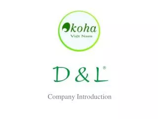 company introduction