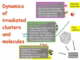 Dynamics of irradiated clusters and molecules
