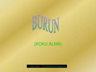 koku alma