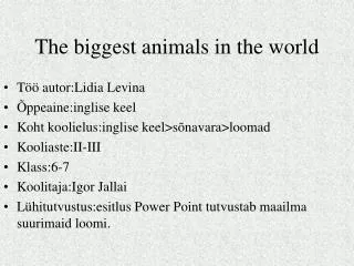 The biggest animals in the world
