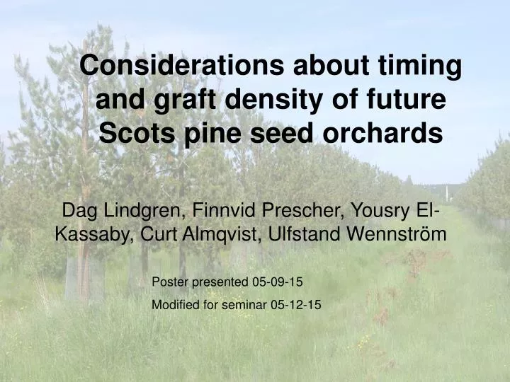considerations about timing and graft density of future scots pine seed orchards