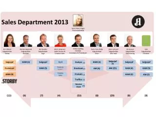 sales department 2013