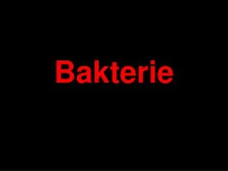 bakterie