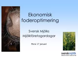 ekonomisk foderoptimering