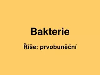 bakterie