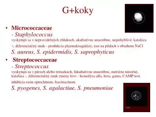 g koky