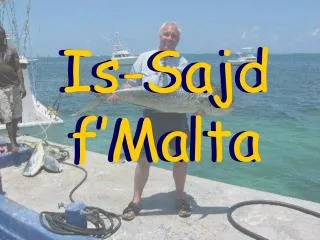 is sajd f malta