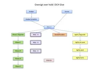 oversigt over hold i dch give