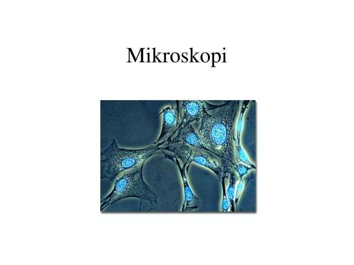 mikroskopi