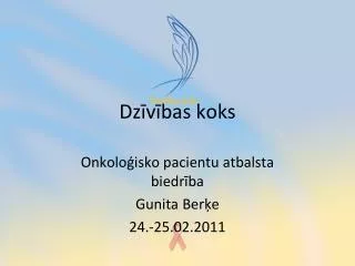 dz v bas koks