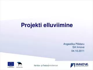 projekti elluviimine