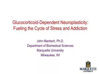 Glucocorticoid-Dependent Neuroplasticity: Fueling the Cycle of Stress and Addiction