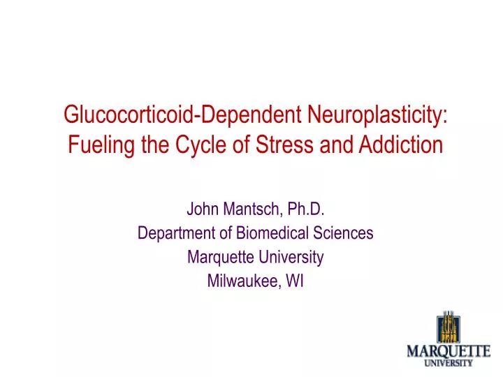 glucocorticoid dependent neuroplasticity fueling the cycle of stress and addiction