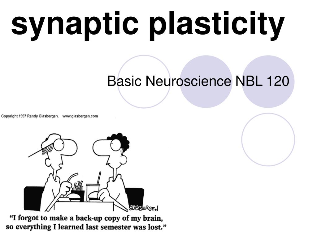 PPT - synaptic plasticity PowerPoint Presentation, free download - ID ...