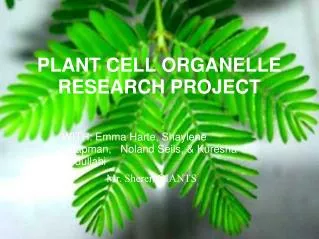 PLANT CELL ORGANELLE RESEARCH PROJECT