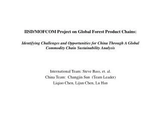 International Team: Steve Bass, et. al. China Team: Changjin Sun (Team Leader)