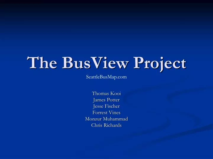the busview project