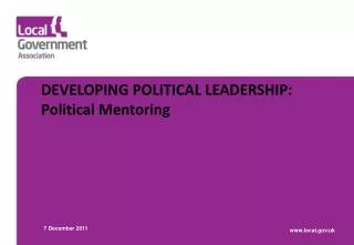 DEVELOPING POLITICAL LEADERSHIP: Political Mentoring