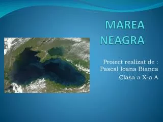 marea neagra