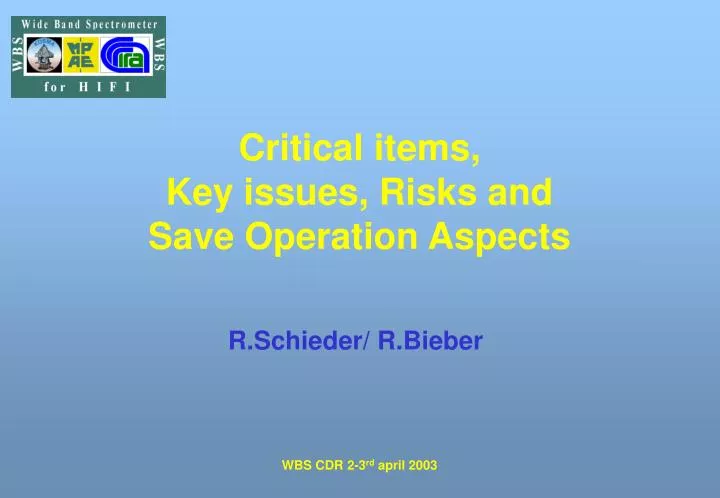 critical items key issues risks and save operation aspects