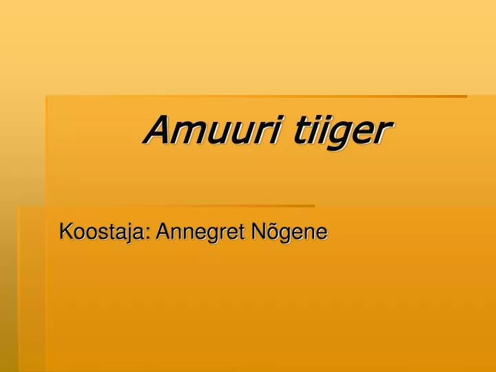 amuuri tiiger