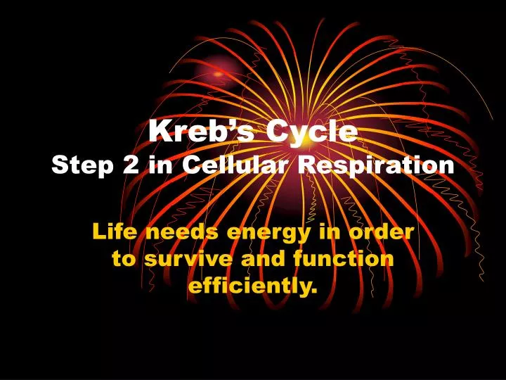 kreb s cycle step 2 in cellular respiration