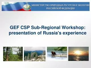 GEF CSP Sub-Regional Workshop: presentation of Russia's experience