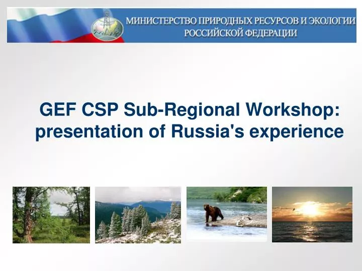 gef csp sub regional workshop presentation of russia s experience