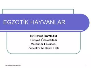 egzot k hayvanlar
