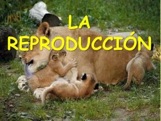 la reproducci n