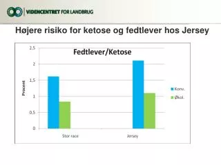 h jere risiko for ketose og fedtlever hos jersey