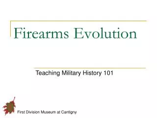 Firearms Evolution