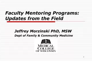 Faculty Mentoring Programs: Updates from the Field