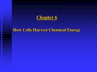 Chapter 6 How Cells Harvest Chemical Energy